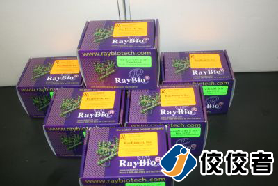 貼標樣品圖 貼標樣品圖