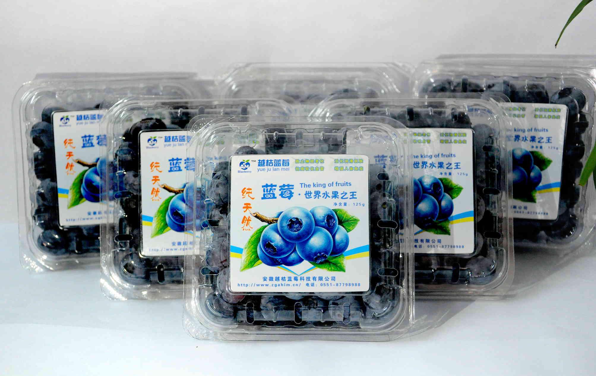 貼標樣品圖 貼標樣品圖